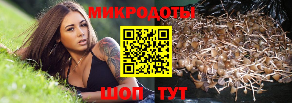 Нарьян-Мар  Псилоцибиновые грибы Psilocybine cubensis  Вход с VPN 