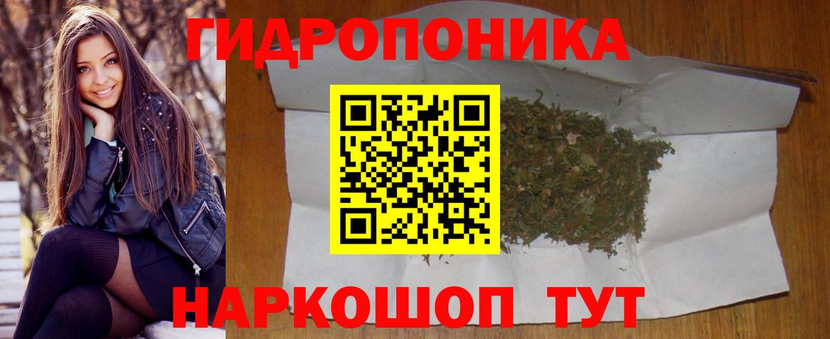 МАРИХУАНА сатива  Вход с VPN  Марихуана планчик  Нарьян-Мар 